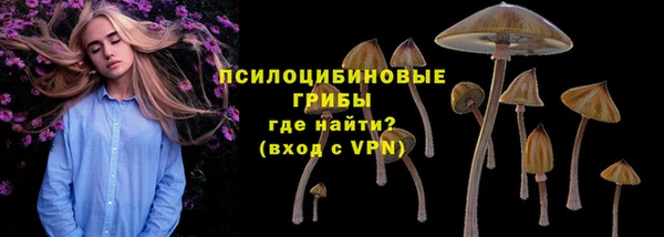spice Вязники