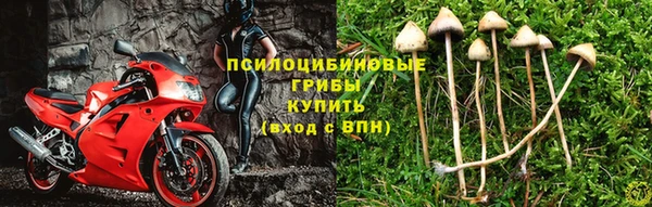 spice Вязники