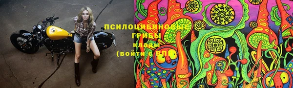 дживик Вяземский