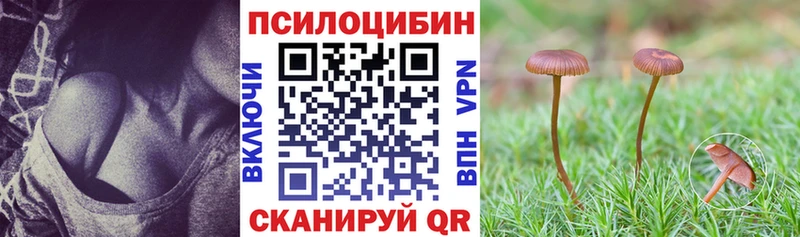 Купить  Пионерский  Галлюциногенные грибы прущие грибы 